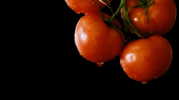 Cinemagraph 完熟トマトの上から滴り落ちる水滴 モーション写真 — ストック動画