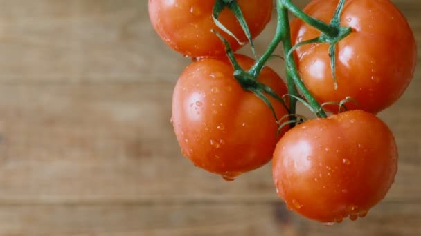 Kinograf Krople Wody Kapanie Wody Góry Dojrzałych Pomidorów Zdjęcie Ruchu — Wideo stockowe