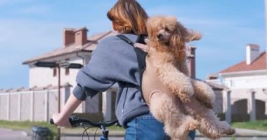 Köpek sırt çantası taşıyan bir hayvanla seyahat etmeyi çok seviyor. .