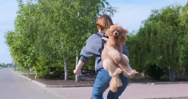 Köpek Sırt Çantası Taşıyan Bir Hayvanla Seyahat Etmeyi Çok Seviyor — Stok video
