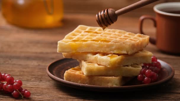 Cinemagraph Drops Honey Dripping Belgian Waffles Foto Movimiento — Vídeos de Stock