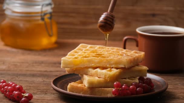 Honey Pours Belgian Waffles Belgian Waffles Berries Honey Wooden Table — 비디오