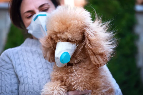 Kvinna Skyddande Ansiktsmask Tittar Hund Som Bär Medicinsk Mask Också Stockbild