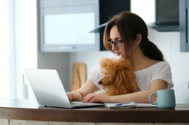 Genç bayan uzaktan kumandayla çalışıyor. Köpeğiyle birlikte evde dizüstü bilgisayar kullanan genç bir kadın. Evdeki iş yeri kavramı, uzaktan çalışma..