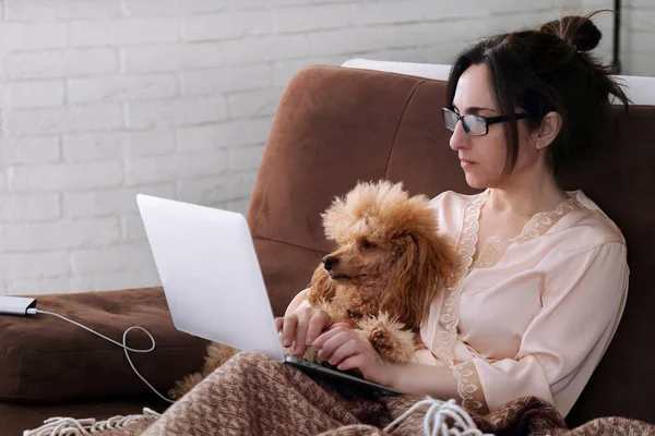 The woman is working remotely. Women with the dog working using a laptop at home. Concept of the workplace at home, working remotely.