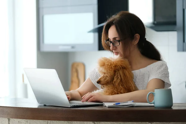 Den Unga Kvinnan Arbetar Distans Ung Kvinna Med Sin Hund — Stockfoto