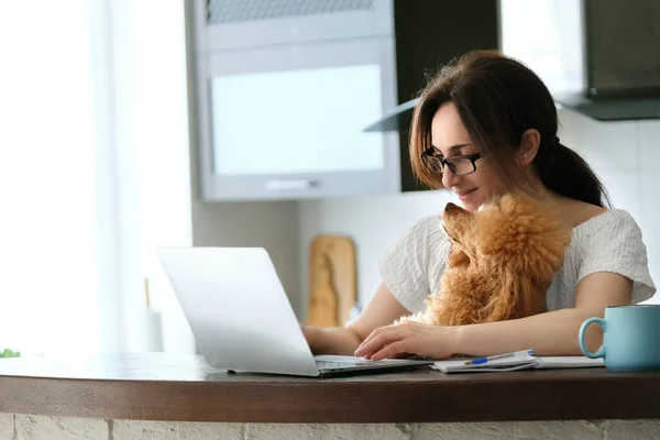 Den Unga Kvinnan Arbetar Distans Ung Kvinna Med Sin Hund — Stockfoto