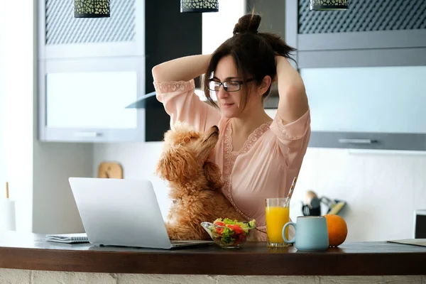 Молода Жінка Працює Дистанційно Молода Жінка Своїм Собакою Працює Ноутбуком — стокове фото