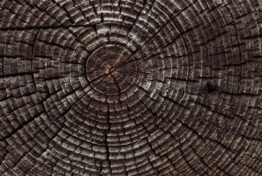 eski ahşap arka plan