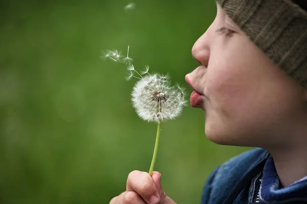 Child and dandelion — Stock Photo, Image