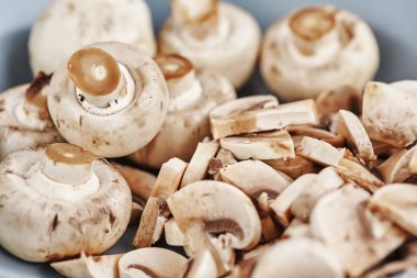 Mavi tabakta bütün mantarlar var.