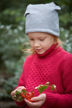Küçük Rgirl 'ün ellerinde Rowan böğürtlenleri