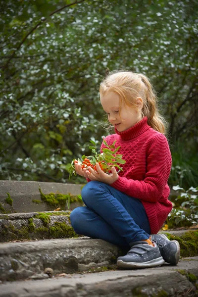 Kızıl saçlı küçük kızın ellerinde kızılcık çilekleri — Stok fotoğraf