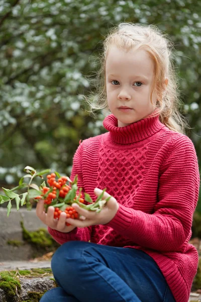 Kızıl saçlı küçük kızın ellerinde kızılcık çilekleri — Stok fotoğraf