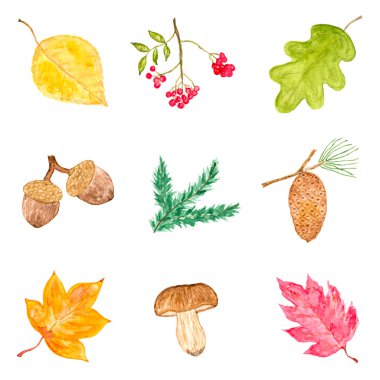 Sonbahar öğeleri suluboya koleksiyonu