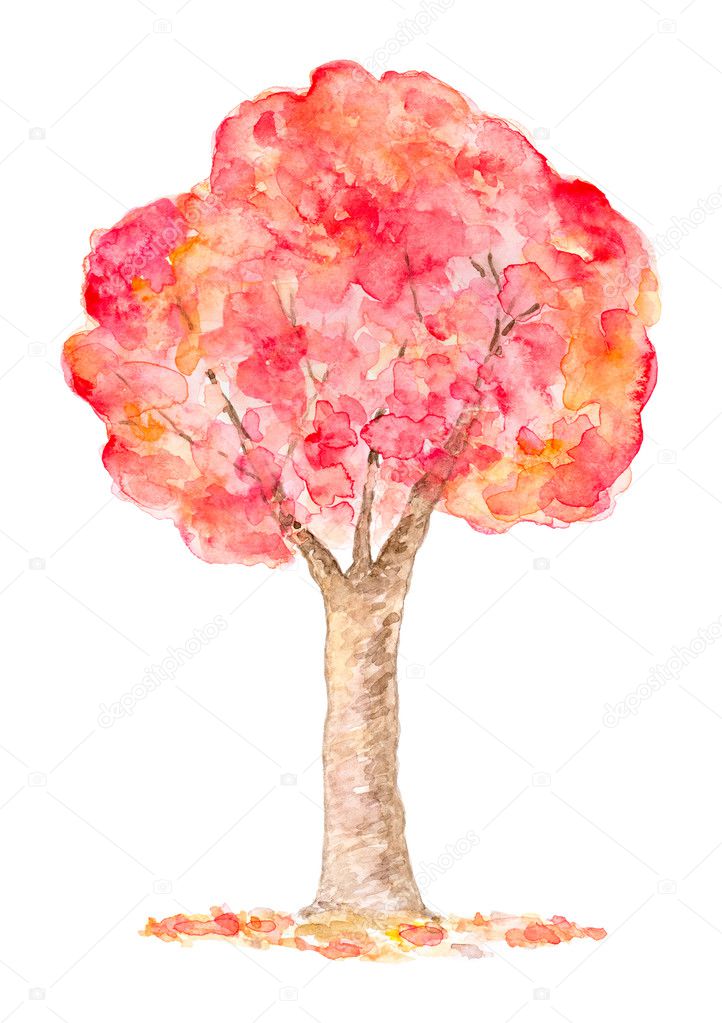 Watercolor Autumn Tree, Hand Drawn and Painted