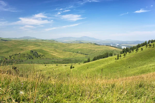 Yeşil ağaçlar ve mavi gökyüzü beyaz bulutlar (Altay ile kaplı tepeler)
