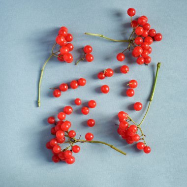 Kartopu çilek grup dokulu kağıt üzerinde