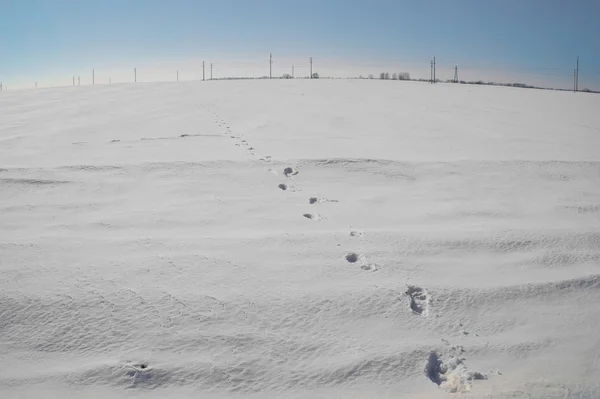 Impronte nella neve e nel cielo azzurro Foto Stock