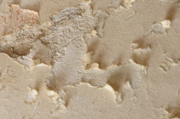 Eski sert duvar sıva arka planı gri — Stok fotoğraf