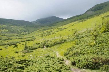 Karpatlar'ın dağ manzarası