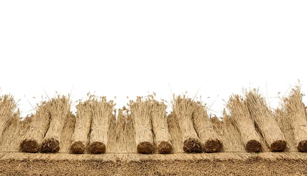 Thatched Roof on white background — Stock Photo, Image