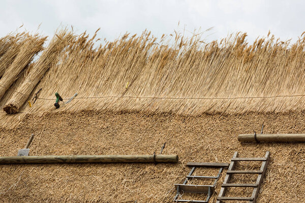 Тэтчер с соломинкой
