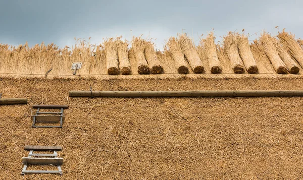 Saman ve araçları ile thatched çatı — Stok fotoğraf