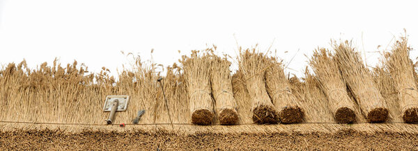 Thatched Roof на белом фоне
