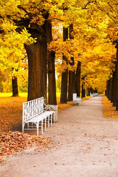 Park in Val tijd — Stockfoto