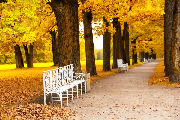 Park in fall time — Stock Photo, Image