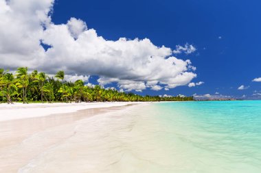 Beyaz kumlu plaj Karayip Denizi, Saona içinde Hindistan cevizi palmiye ağaçlarının 