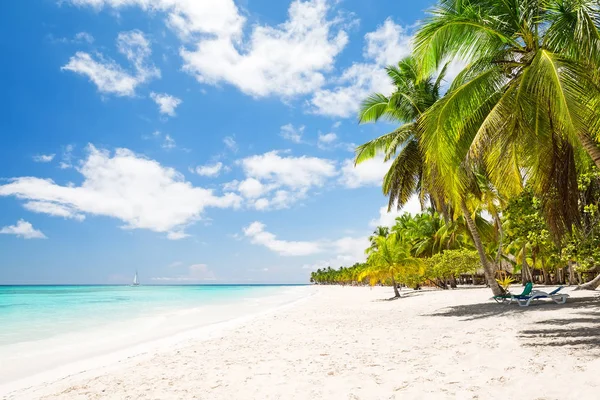 Mooie tropische witte strand en kokosnoot palm bomen — Stockfoto