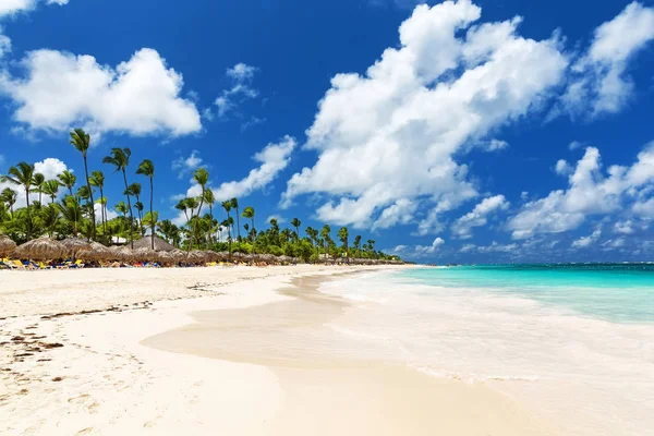 Coco Palmeiras na praia de areia branca, ilha de Saona. República Dominicana — Fotografia de Stock