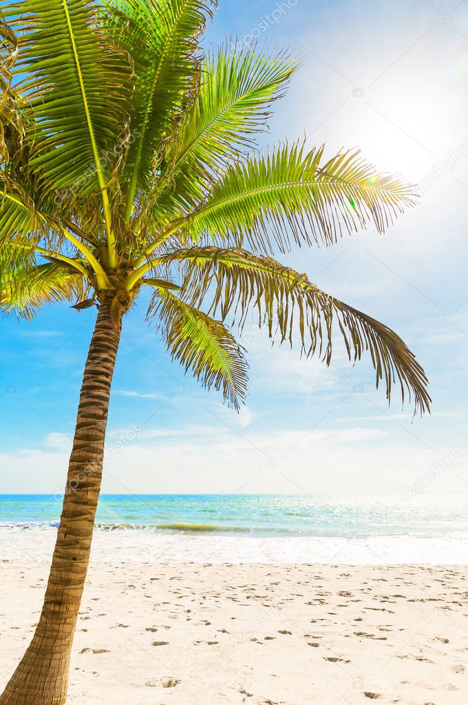 Beautiful tropical white beach and coconut palm trees.