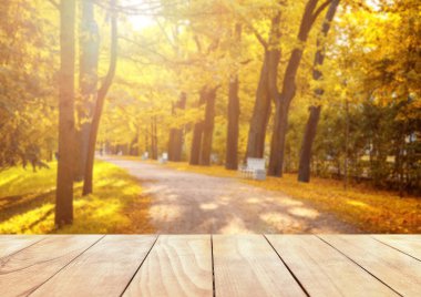 Eski ahşap masa üstü ormanda düşen yaprakları ile