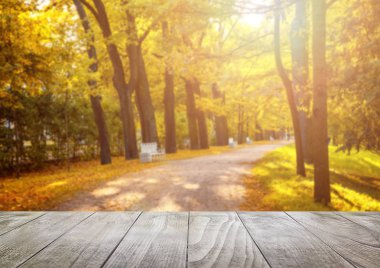 Eski ahşap masa üstü ormanda düşen yaprakları ile