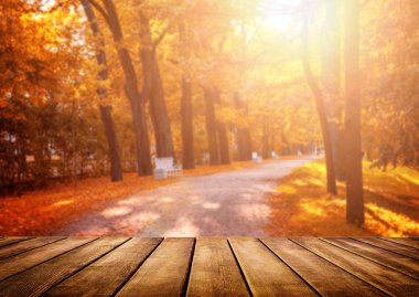 Eski ahşap masa üstü ormanda düşen yaprakları ile