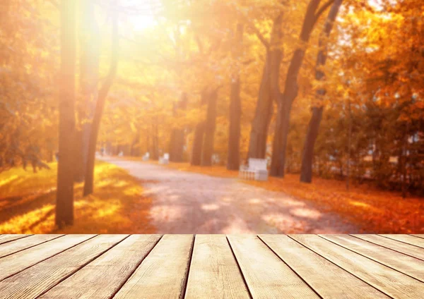 Old wooden table top with leaves falling in forest — Stock Photo, Image