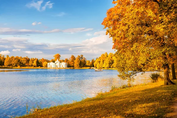 Güzel sonbahar orman Park 