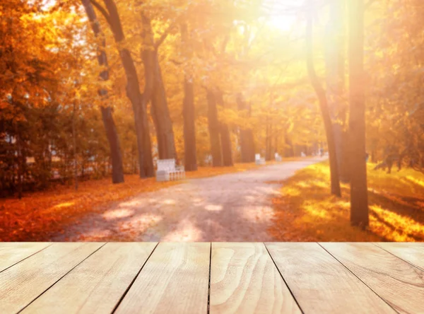 Old wooden table top with leaves falling in forest — Stock Photo, Image