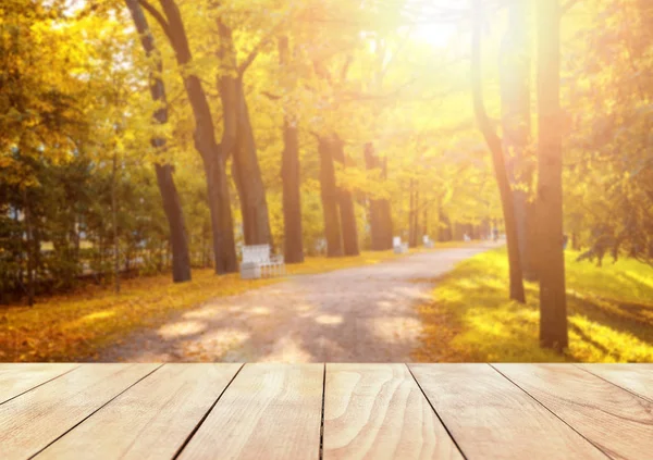 Old wooden table top with leaves falling in forest — Stock Photo, Image