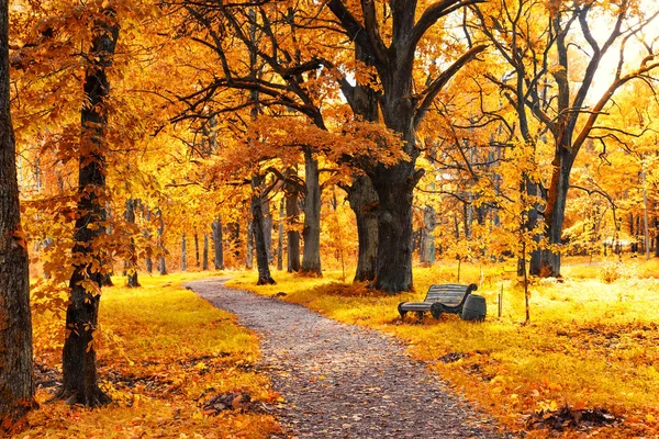 Régi fapad az őszi parkban — Stock Fotó