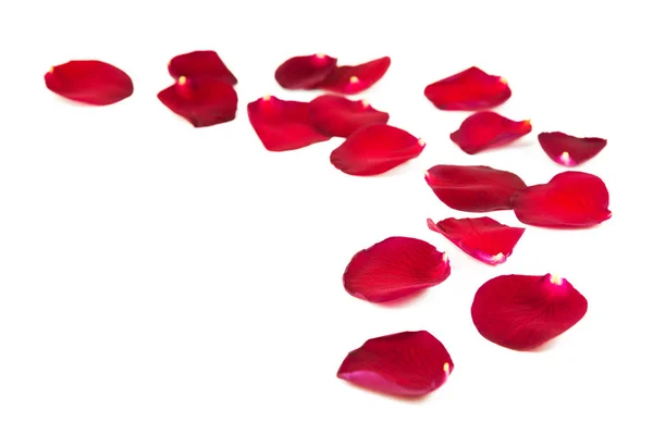 Red rose petals — Stock Photo, Image