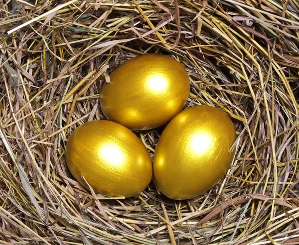 Trois œufs d'or — Photo