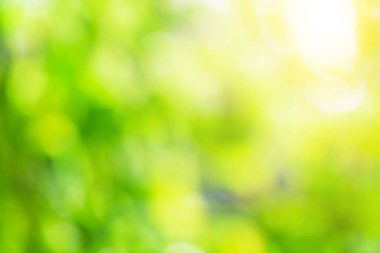 Bahar yeşil arka plan