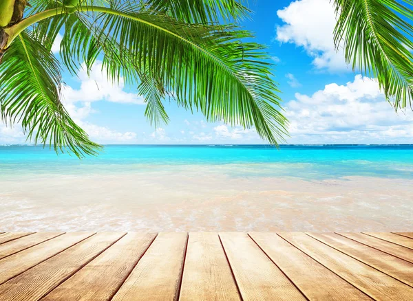 Coconut palm trees and blue sky and sea — Stock Photo, Image