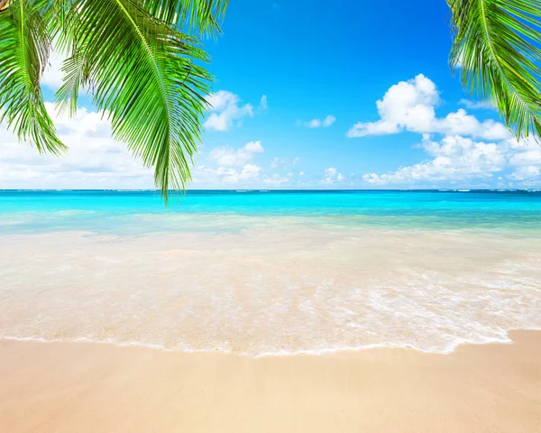 Kokosowe Palmy i błękitne niebo i morze — Zdjęcie stockowe
