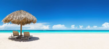 Dominik Cumhuriyeti, Punta Cana 'da şemsiyeli plaj sandalyeleri ve güzel kumsallar. Beyaz kum ve turkuaz suyu olan tropik plaj manzarası. Seyahat yaz tatili kavramı.