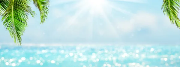 Панорама Размытого Голубого Неба Моря Боке Света Листья Кокосовой Пальмы — стоковое фото